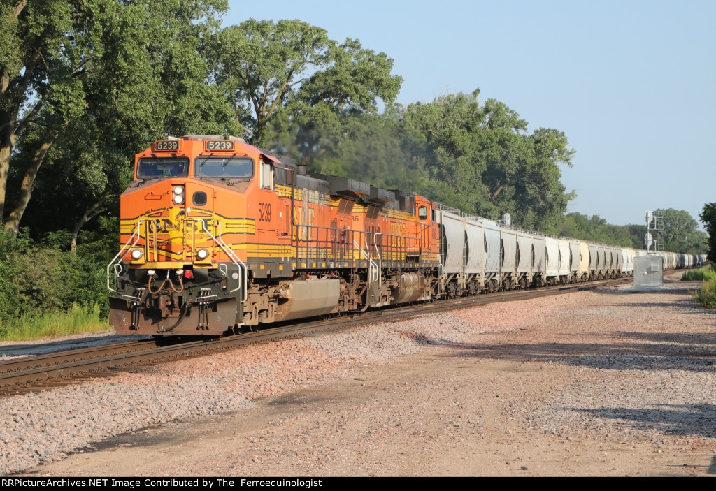 BNSF U Train 5239 East